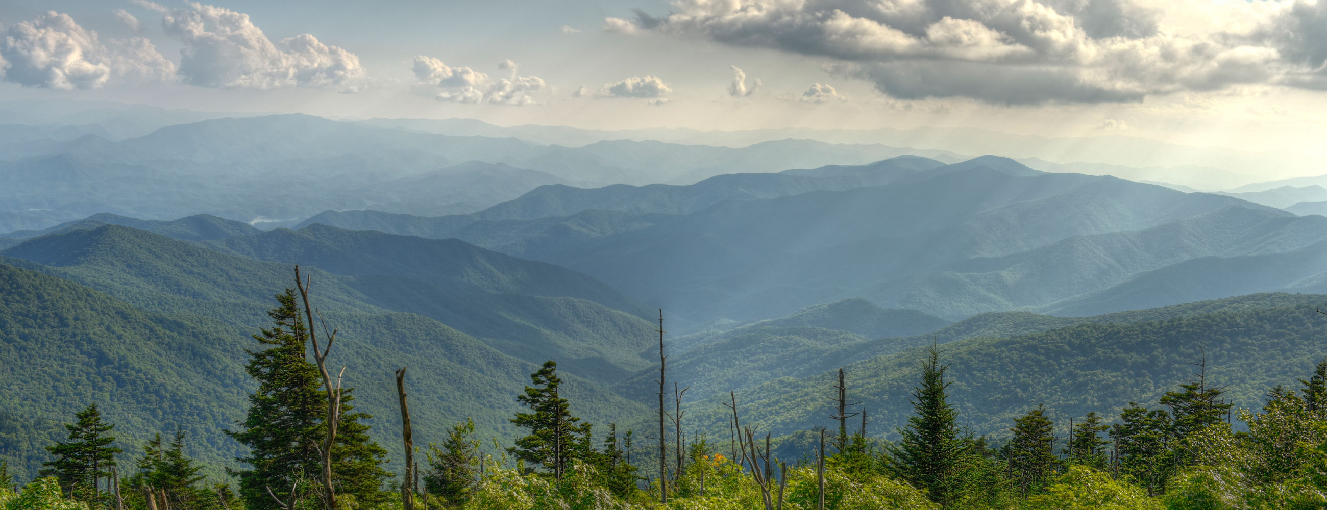 Sri Venkatakrishna General Stores And Online Services