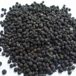 Black Pepper-మిరియాలు-(Meriyalu)