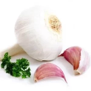Garlic-వెల్లుల్లి-(Vellulli)