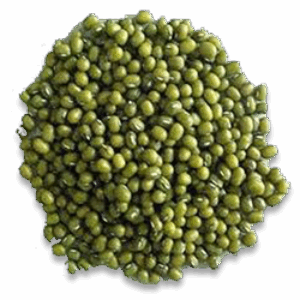 Green Grams-పెసలు-(Pesalu)