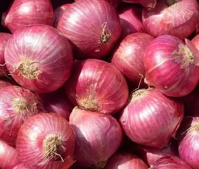Onions-ఉల్లిపాయలు-(Ullipayalu)