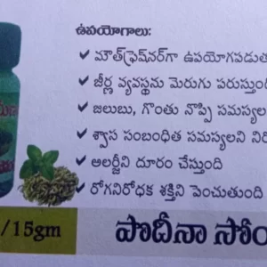 Podheena Sompu – పొదీనా సోంపు