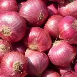 Onions-ఉల్లిపాయలు-(Ullipayalu)