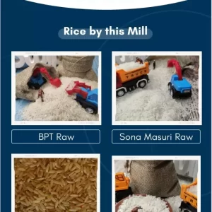 BPT-Rice