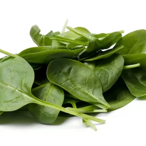 Spinach leaf – పాలకూర(Palakura)