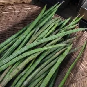 Drum Stick-??????????-(Mulakkayalu)