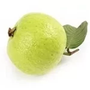 Guava-జామపండు-(Jaamapandu)