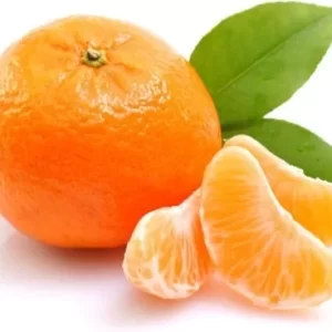Orange-కమలకాయ-(Kamalakaya)