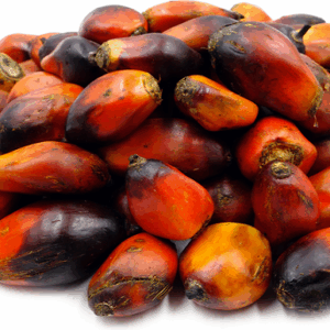 Palm Fruit-ఈతకాయలు-(Eethakayalu)