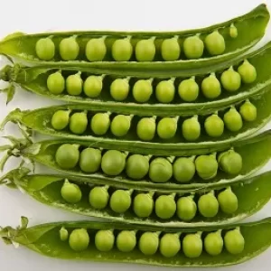 Peas-???????-(Bataneelu)