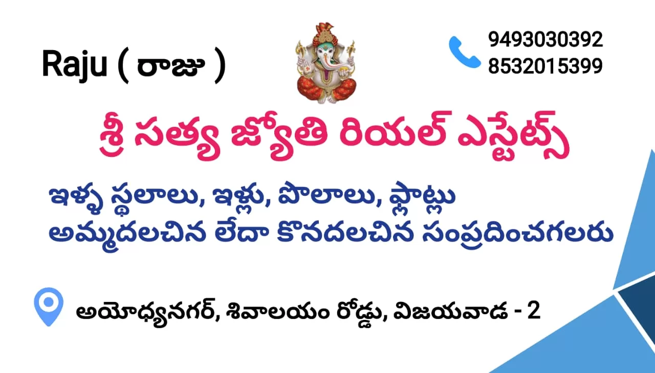 Sri Satya Jyothi Real-estate