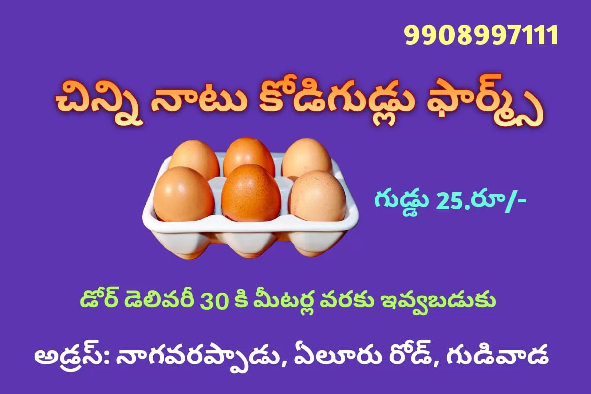 Chinni Natukodi Gudlu Farms