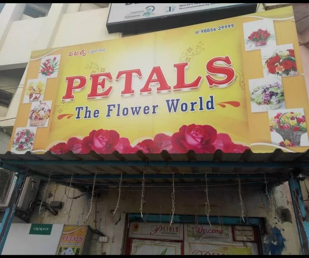 Petals The Flower World