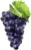Black Grapes-నల్లద్రాక్ష-(Nalladraksha)