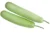 Bottle Gourd-ఆనబకాయ-(Aanabakaya)