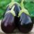 EggPlant-గుత్తివంకాయ-(Guthivankaya)