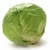 CABBAGE-క్యాబేజి