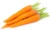 Carrot-క్యారెట్-(Kyaret)