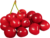 Cherry Fruit-చెర్రీ పండు-(Cherrypandu)
