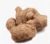 Ginger-అల్లం-(Allam)