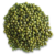 Green Grams-పెసలు-(Pesalu)