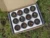 Sambrani Cups