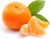 Orange-కమలకాయ-(Kamalakaya)