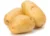 POTATO-బంగాళాదుంపలు