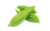 Ridge Gourd-బీరకాయలు-(Beerakayalu)