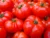 Tomato-టమాటాలు